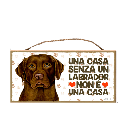 31 LABRADOR MARRONE
