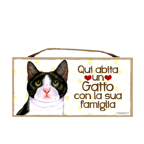 53 GATTO BIANCO NERO