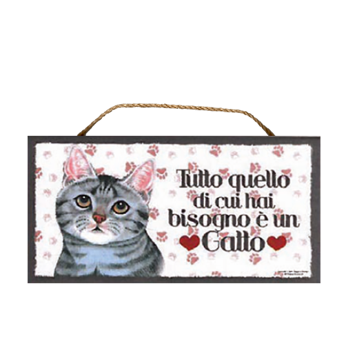 55 GATTO GRIGIO CHIARO