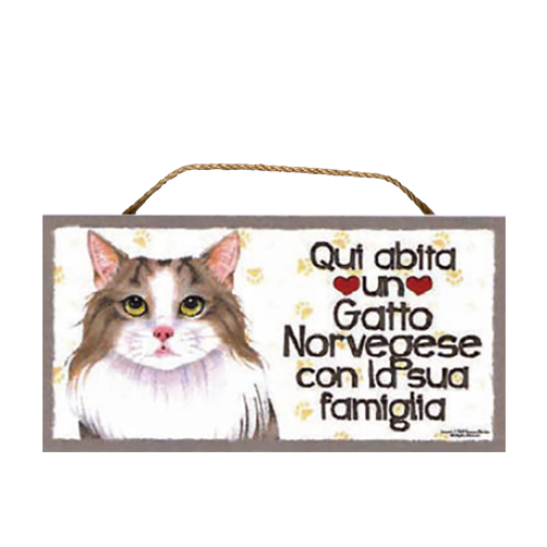 57 GATTO NORVEGESE