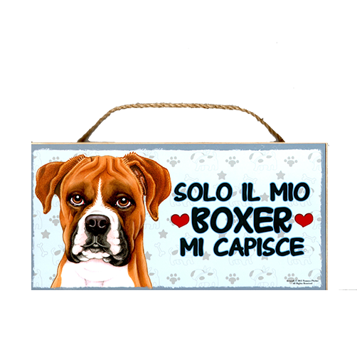 12 BOXER