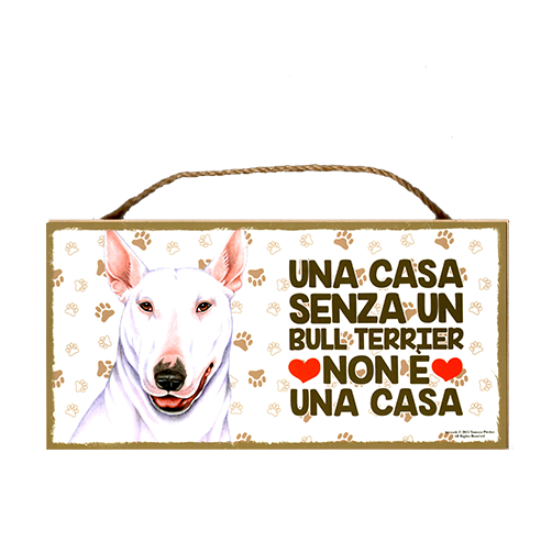 13 BULL TERRIER