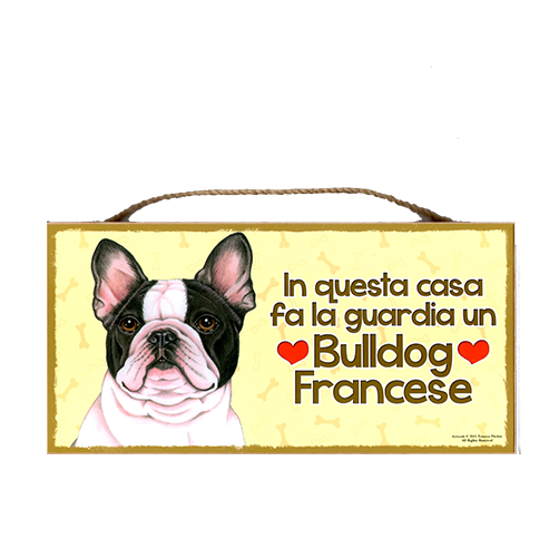 15 BULLDOG FRANCESE