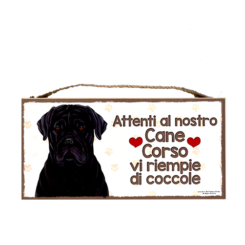 17 CANE CORSO