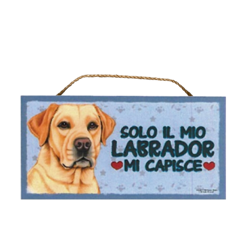 30 LABRADOR MI CAPISCE