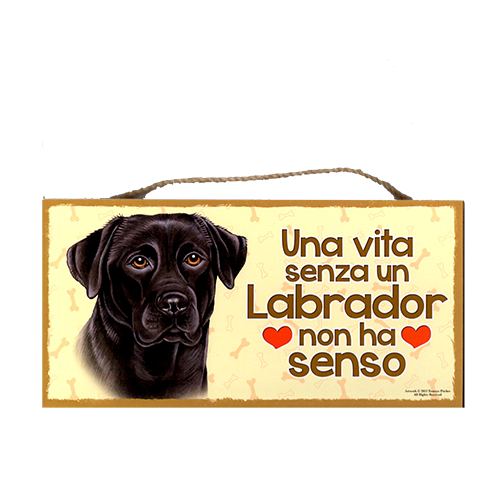 34 LABRADOR NERO