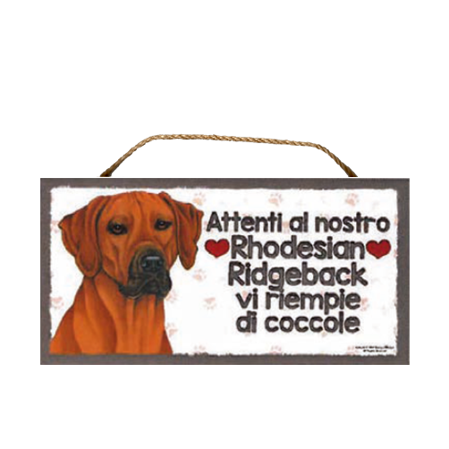 41 RHODESIAN RIDGEBACK