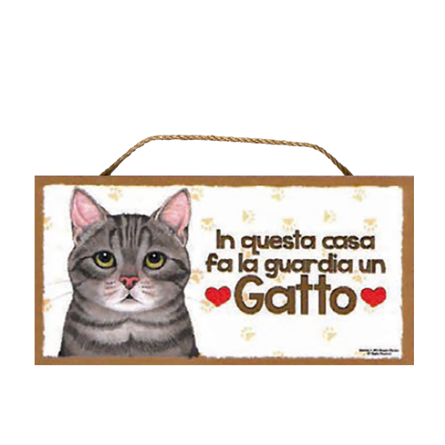 54 GATTO GRIGIO SCURO