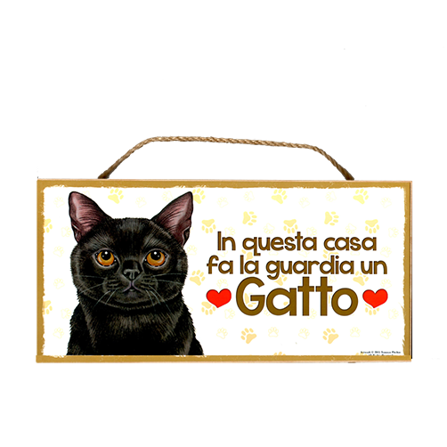 56 GATTO NERO