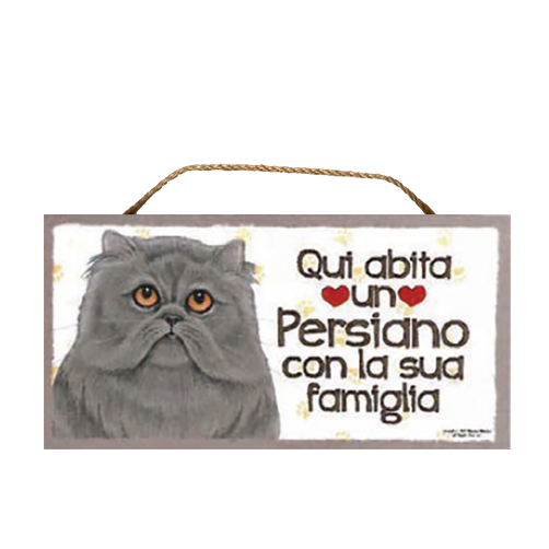 60 GATTO PERSIANO