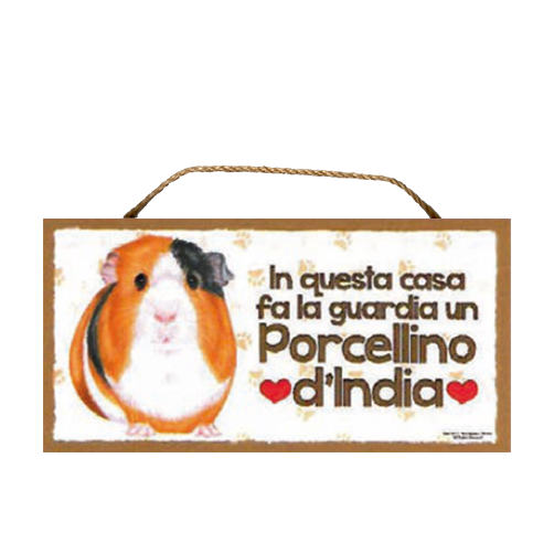 64 PORCELLINO D' INDIA